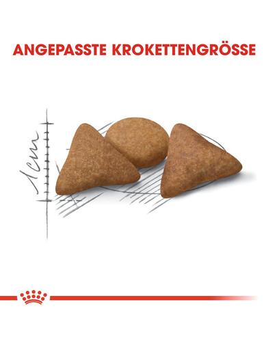 ROYAL CANIN Indoor appetite control 2 kg