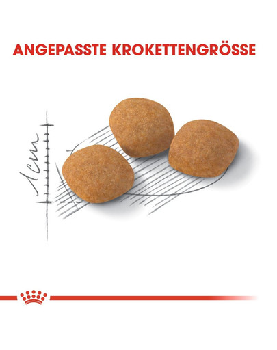 ROYAL CANIN Exigent protein preference 42 10 kg