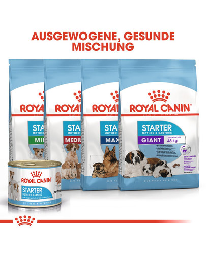 ROYAL CANIN Mini starter mother & babydog 1 kg