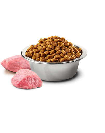 FARMINA N&D Prime Chicken & Pomegranate Adult Mini 7 kg