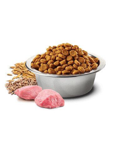 FARMINA N&D low grain chicken & pomegrante adult cat 0.3 kg