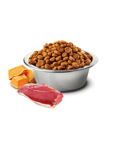 FARMINA N&D Pumpkin Duck & Cantaloupe Melon Adult Cat 300 g