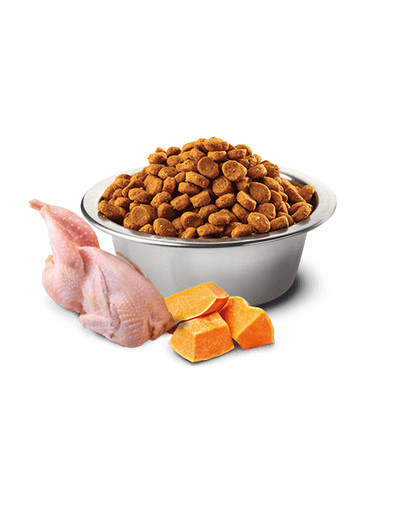 FARMINA N&D Pumpkin Quail & Pomegranate Neutered Cat 300 g
