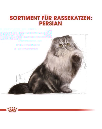 ROYAL CANIN Persian 10 kg