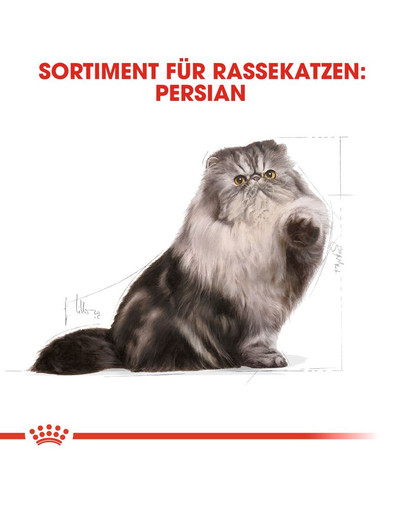 ROYAL CANIN Persian 2 kg