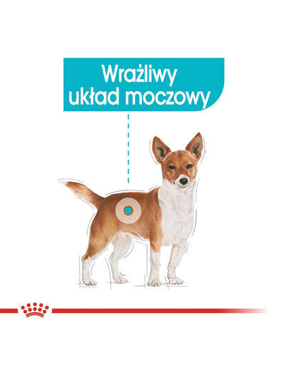 ROYAL CANIN Urinary 85 g