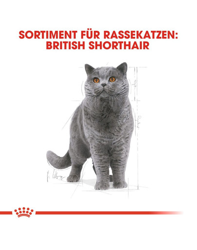 ROYAL CANIN British shorthair 34 10 kg