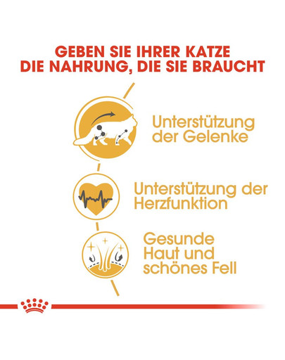 ROYAL CANIN Maine coon 10 kg