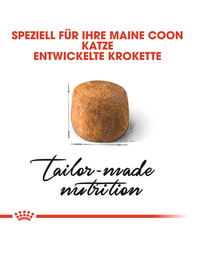 ROYAL CANIN Maine coon 10 kg