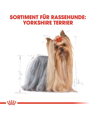 ROYAL CANIN Yorkshire Terrier 3 kg