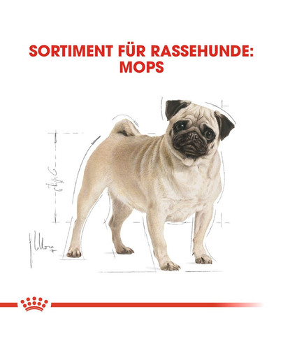 ROYAL CANIN Pug adult 1.5 kg