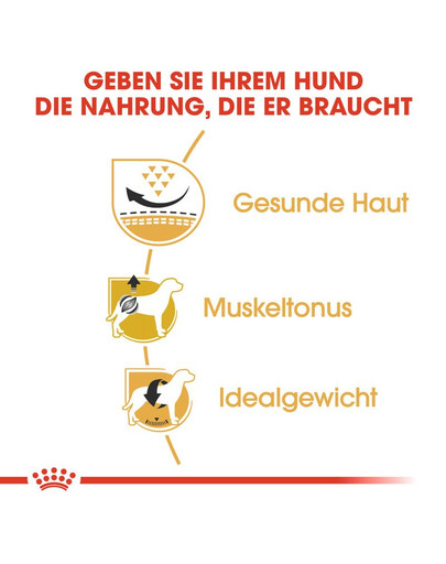 ROYAL CANIN Pug adult 1.5 kg