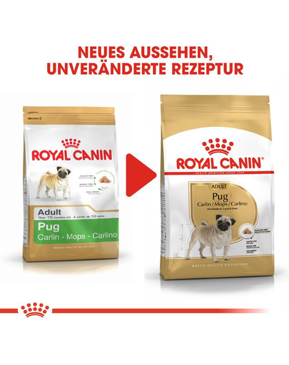 ROYAL CANIN Pug adult 1.5 kg