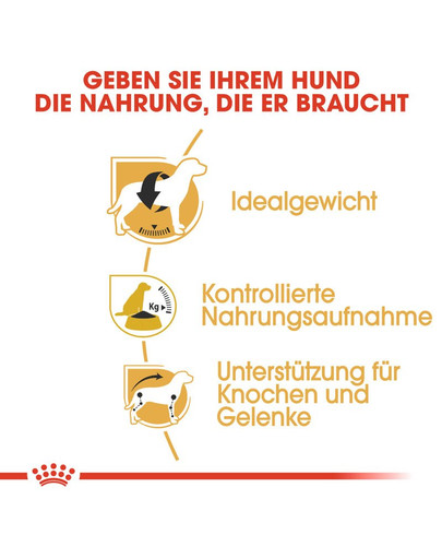 ROYAL CANIN Beagle adult 3 kg