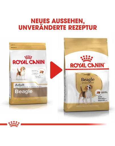 ROYAL CANIN Beagle adult 3 kg