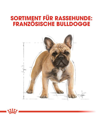 ROYAL CANIN French bulldog adult 3 kg
