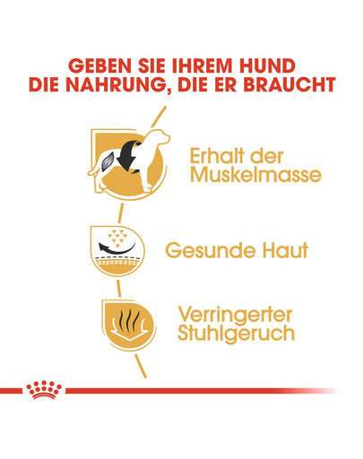 ROYAL CANIN French bulldog adult 3 kg