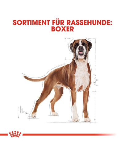 ROYAL CANIN Boxer 12 kg