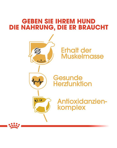 ROYAL CANIN Boxer 12 kg