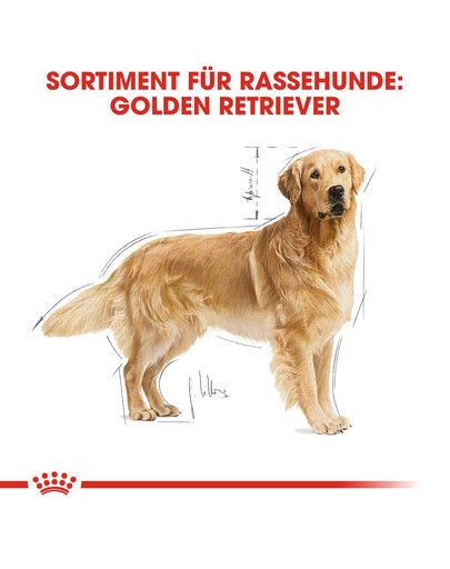 ROYAL CANIN Golden retriever adult 12 kg