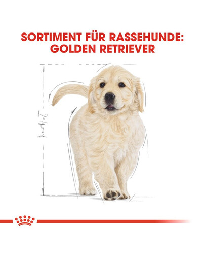 ROYAL CANIN Golden retriever junior 1kg