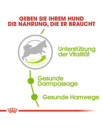 ROYAL CANIN X-Small Adult 8+ 1.5 kg sucha karma dla psów powyżej 8 roku życia, ras bardzo małych