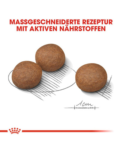 ROYAL CANIN Medium Digestive Care 3 kg