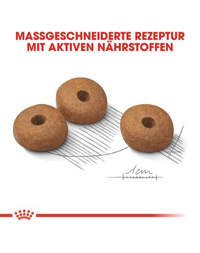 ROYAL CANIN Mini light weight care 1 kg - croquettes pour chiens adultes, petites races sujettes au surpoids