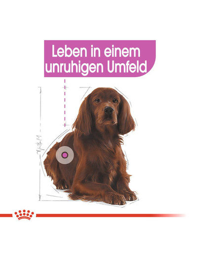 ROYAL CANIN Medium relax care 10 kg
