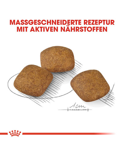 ROYAL CANIN Medium relax care 10 kg