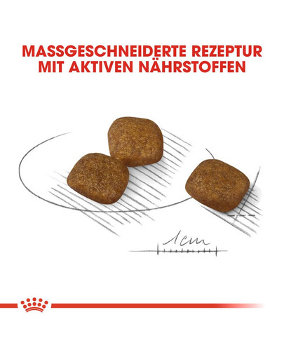 ROYAL CANIN Mini coat care 3 kg
