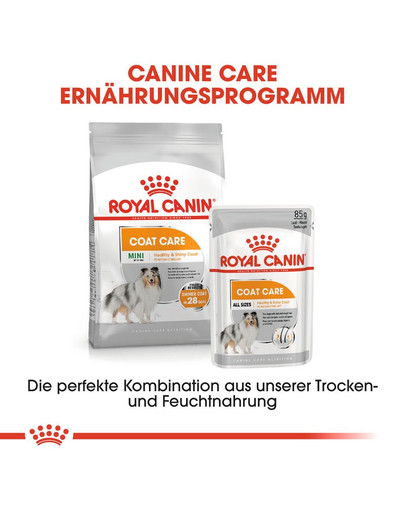 ROYAL CANIN Mini coat care 3 kg