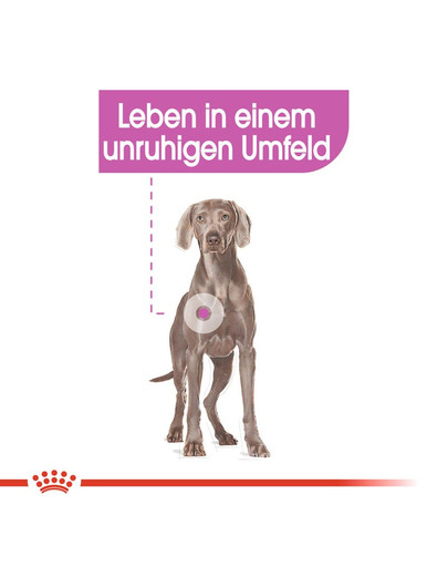 ROYAL CANIN Maxi Relax Care 9 kg