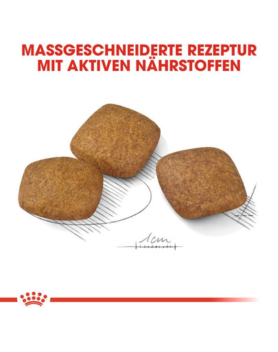 ROYAL CANIN Maxi Relax Care 9 kg