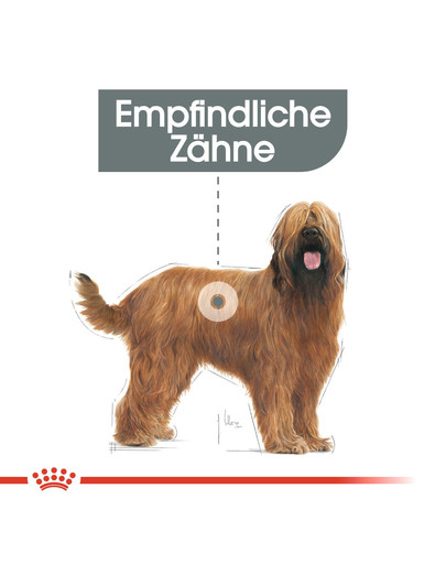 ROYAL CANIN Maxi Dental Care 9 kg