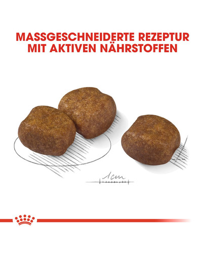 ROYAL CANIN Maxi Dental Care 9 kg