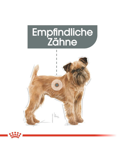ROYAL CANIN Mini dental care 8 kg