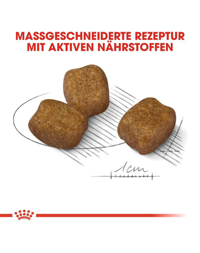 ROYAL CANIN Mini dental care 8 kg