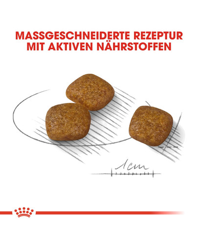 ROYAL CANIN Mini urinary care 8 kg