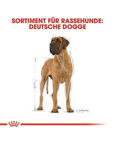 ROYAL CANIN Great dane 23 adult 12 kg