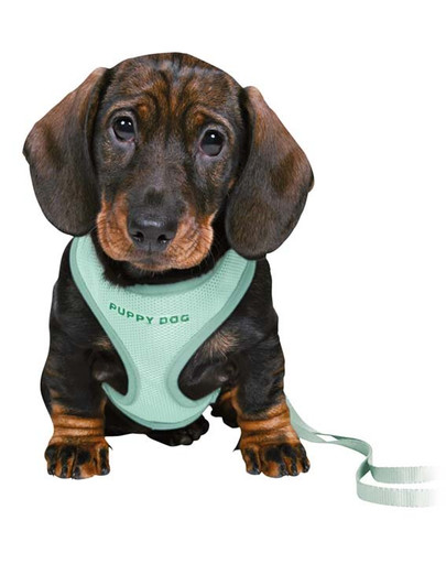 TRIXIE Junior Harnais pour chiot avec laisse 26-34 cm/10 mm, 2,00 m, couleur menthe