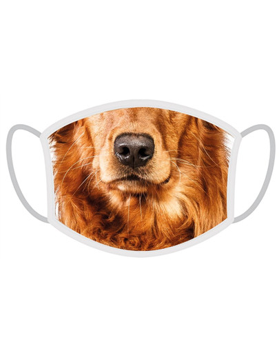 FERA Masque de protection pour Golden retriever