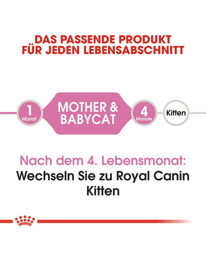 ROYAL CANIN Babycat 34 4 kg