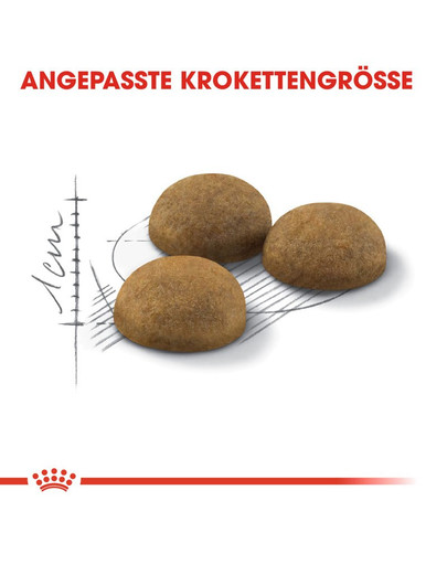 ROYAL CANIN Indoor long hair 35 0.4 kg