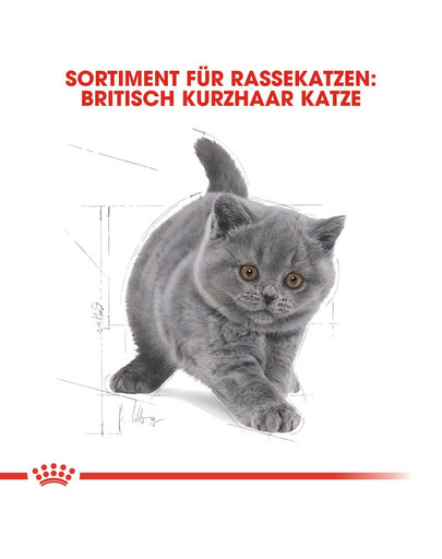 ROYAL CANIN Kitten British Shorthair 2 kg