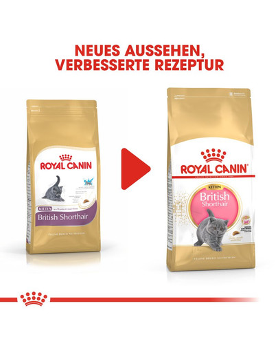 ROYAL CANIN Kitten British Shorthair 2 kg