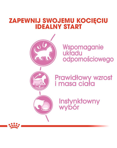 ROYAL CANIN Kitten Sterilised nourriture humide en sauce pour chatons stérilisées jusqu'à 12 mois 12 x 85g