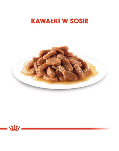 ROYAL CANIN Kitten Sterilised nourriture humide en sauce pour chatons stérilisées jusqu'à 12 mois 12 x 85g