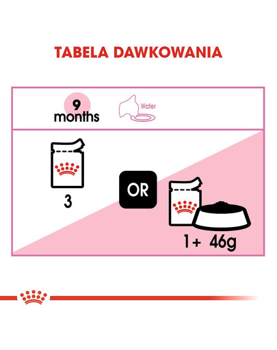 ROYAL CANIN Kitten Sterilised nourriture humide en sauce pour chatons stérilisées jusqu'à 12 mois 12 x 85g