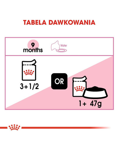 ROYAL CANIN Kitten Sterilised Jelly 12 x 85 g